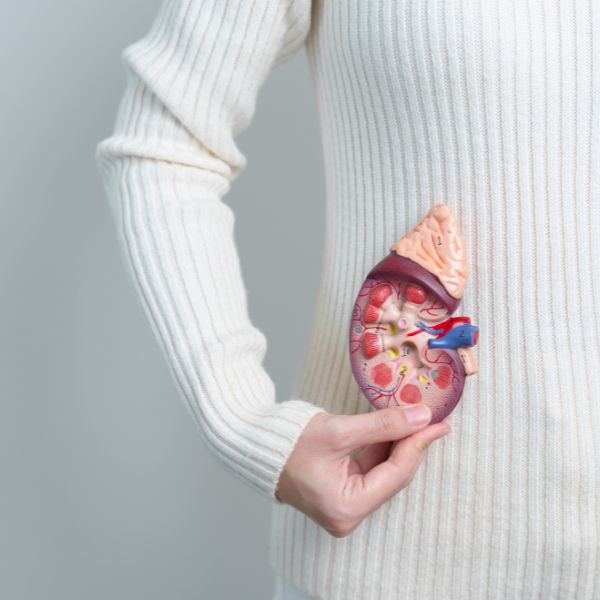 a woman holding a 4D model of a kidney